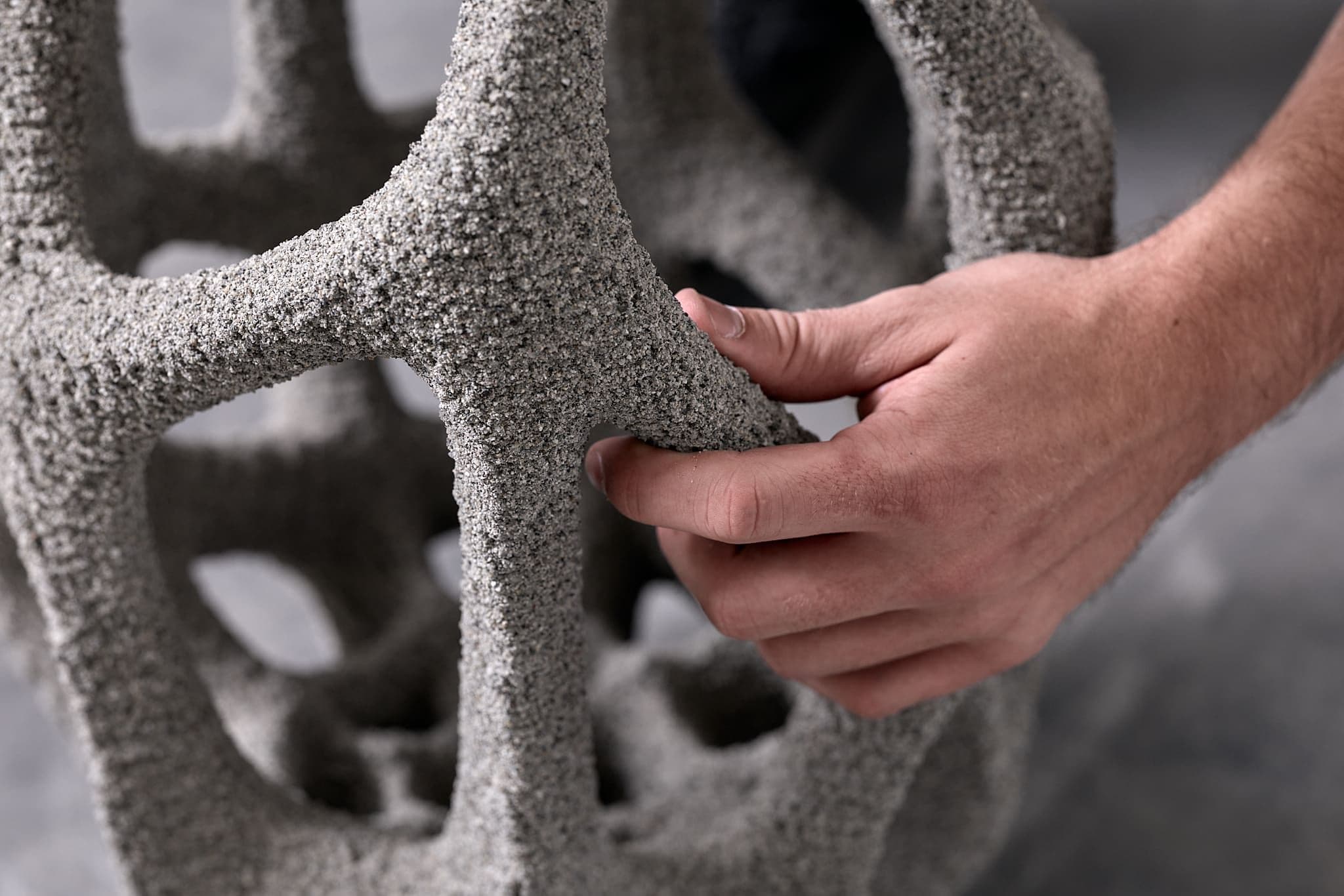 Mangrove 3D Image