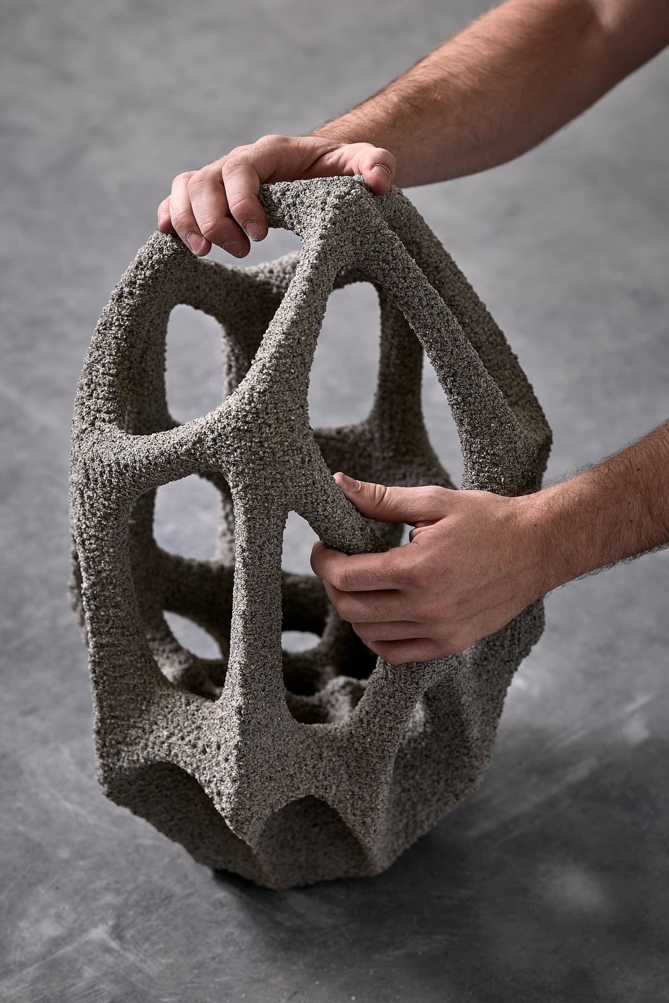 Mangrove 3D Image