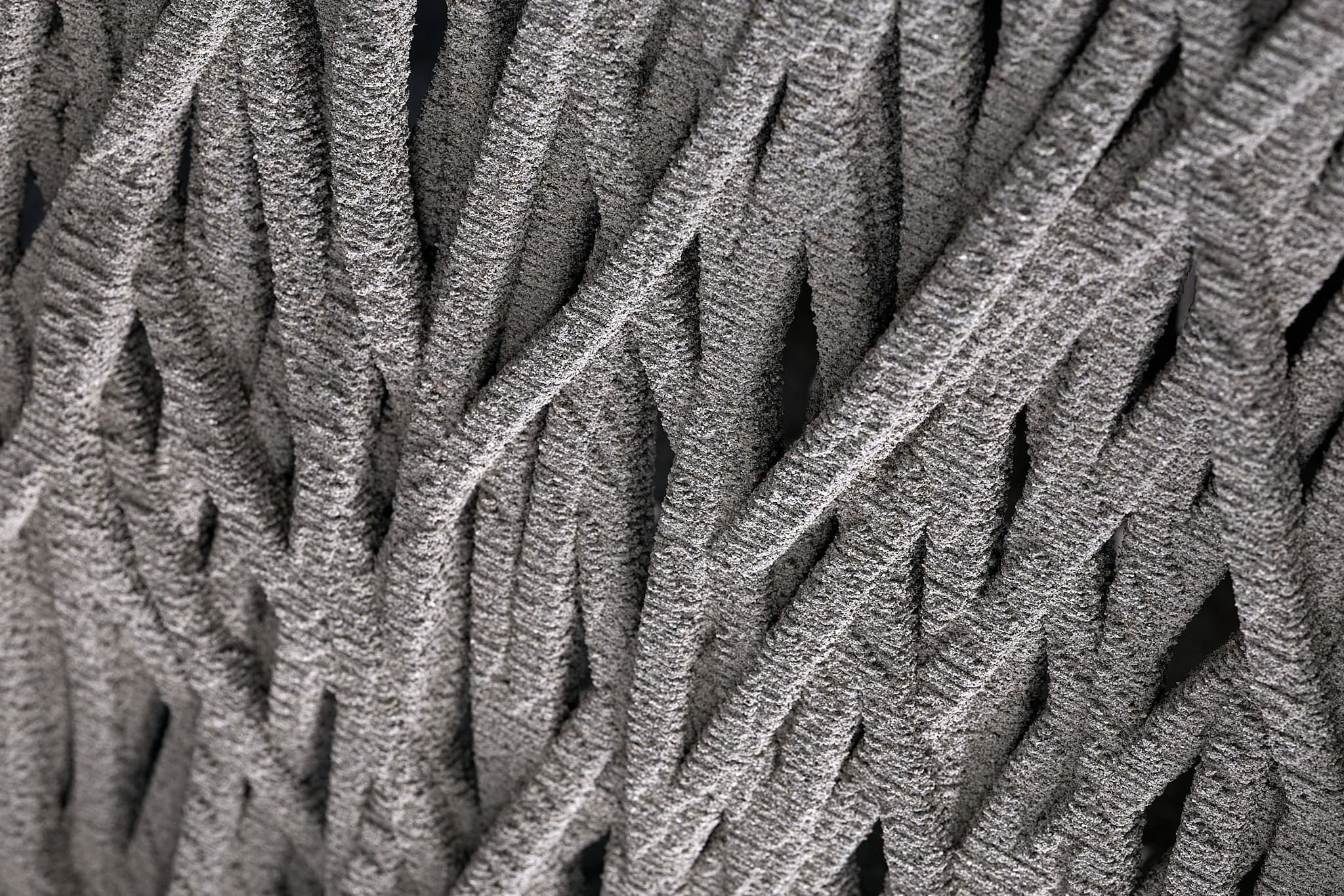 Mangrove 3D Image